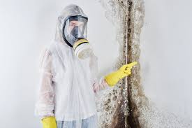 Best Environmental Consulting for Mold Prevention  in North Tustin, CA